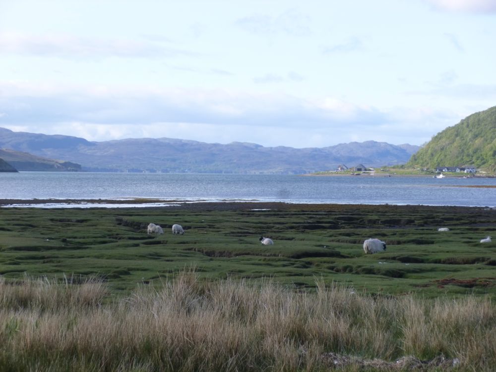 sur la route d'Elgol