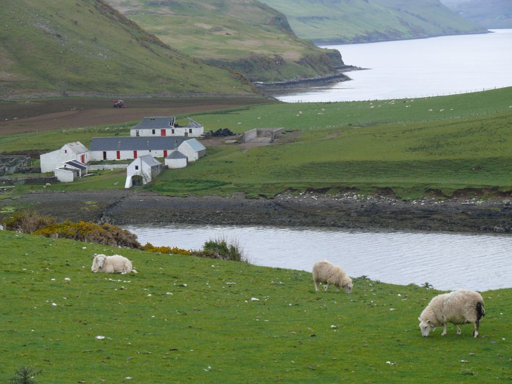sur la route de Neist Point