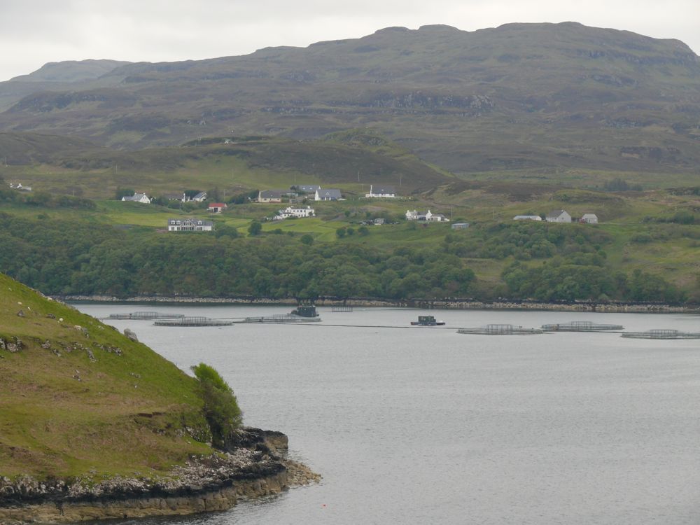 sur la route de Neist Point