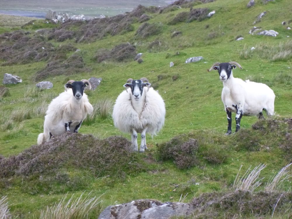 balade sur les falaises de Kilmauag