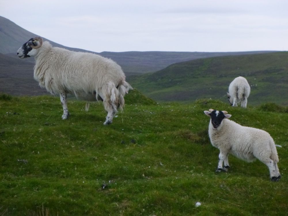 balade sur les falaises de Kilmauag