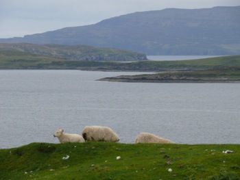 sur la route de Neist Point