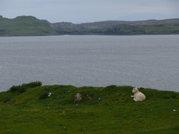 sur la route de Neist Point