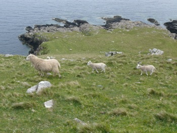 Neist Point