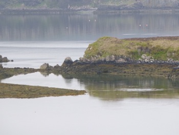 sur la route de Portree