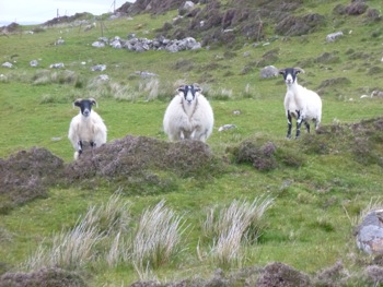 balade sur les falaises de Kilmauag