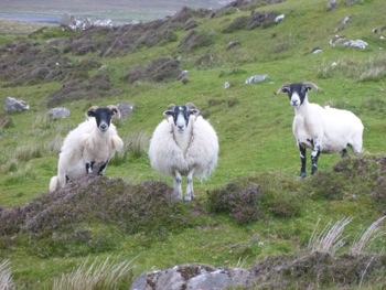 balade sur les falaises de Kilmauag
