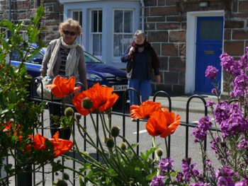 Plockton