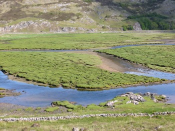Bivouac au Loch Carron
