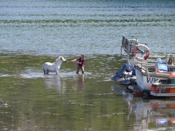 Plockton