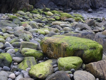Balade Baie Eilean Chrona