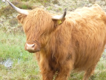 Balade à Balchrck