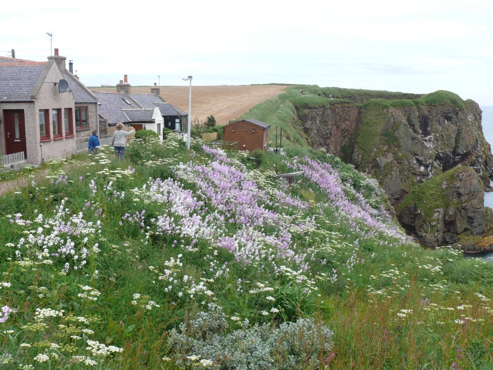 Bullers of Buchan