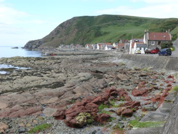 Crovie