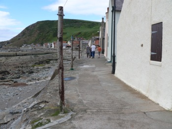 Crovie