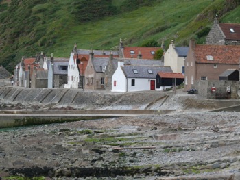 Crovie