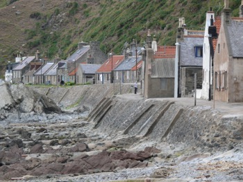 Crovie