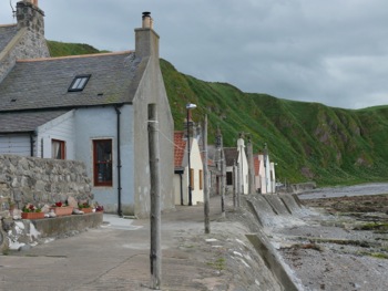 Crovie
