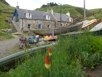Crovie