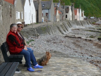 Crovie