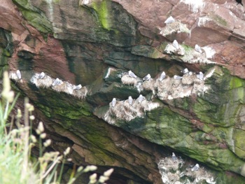 Bullers of Buchan