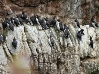 Bullers of Buchan