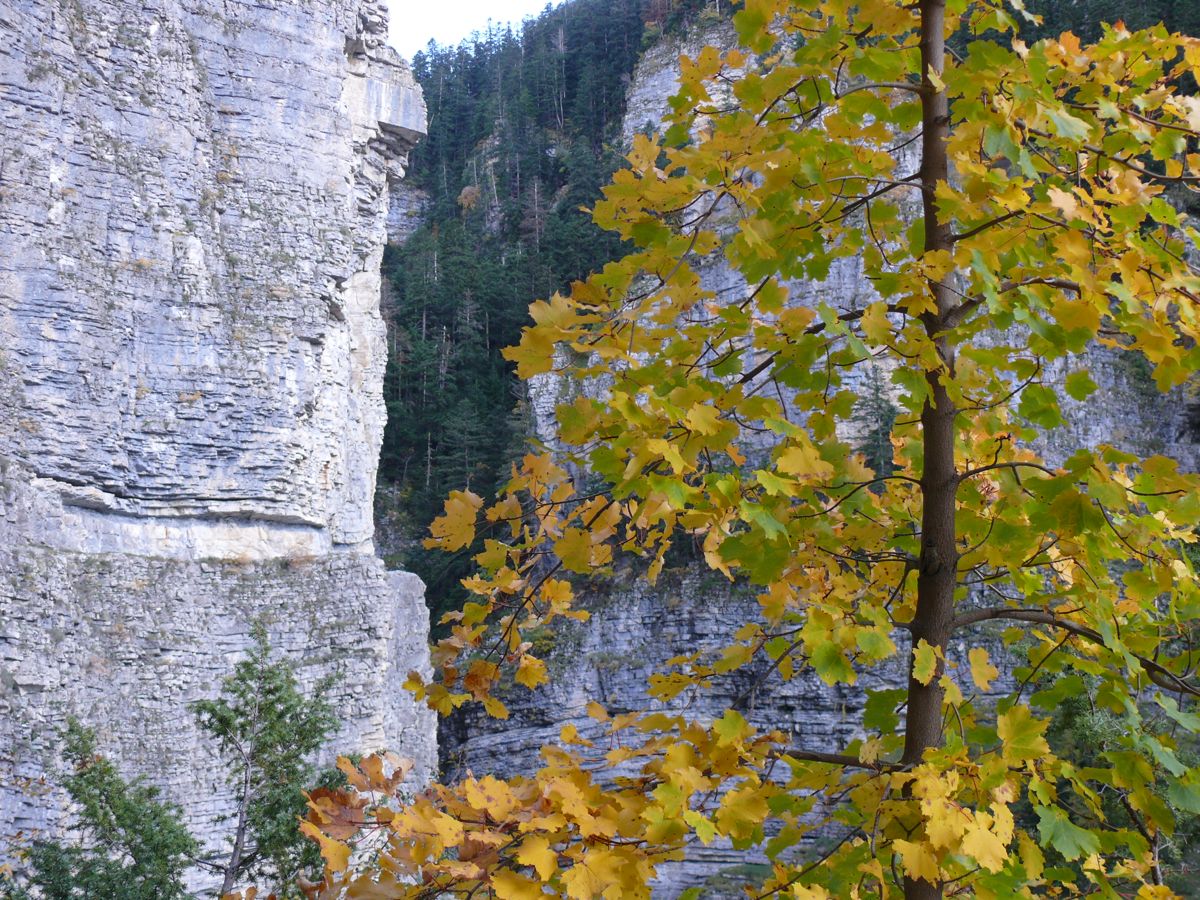 Gorges de Saint Pierre - 134