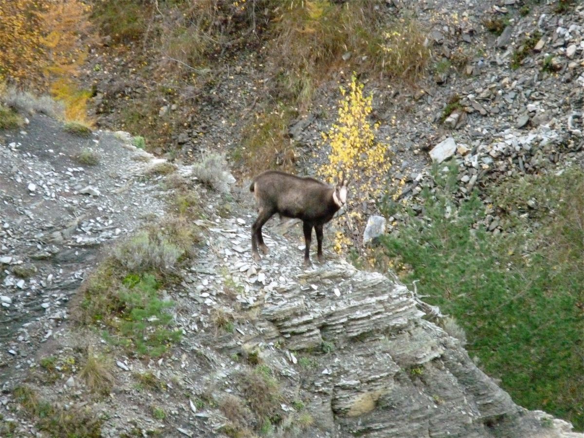 Gorges de Saint Pierre - 036