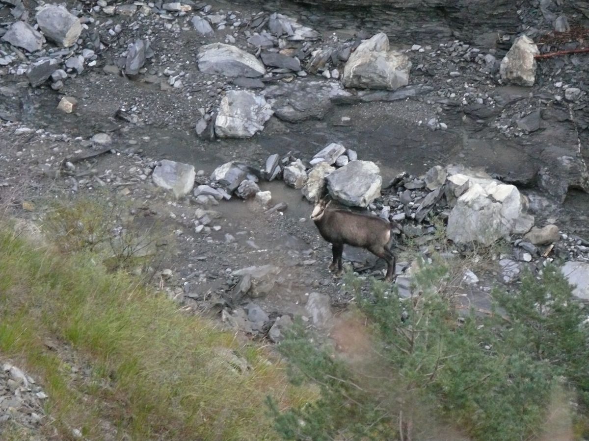 Gorges de Saint Pierre - 037