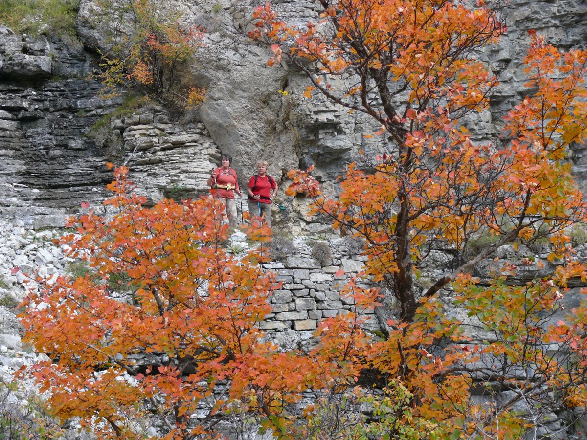 Gorges de Saint Pierre - 054
