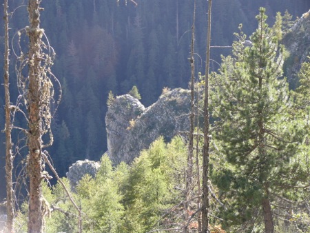 Gorges de Saint Pierre - 114