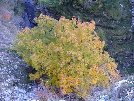 Gorges de Saint Pierre - 117