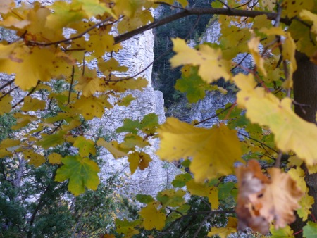 Gorges de Saint Pierre - 133