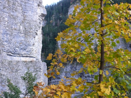 Gorges de Saint Pierre - 134