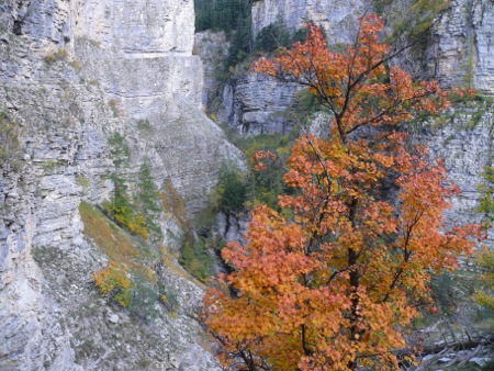 Gorges de Saint Pierre - 135
