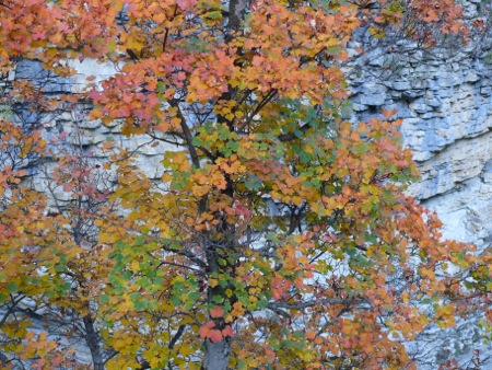 Gorges de Saint Pierre - 137