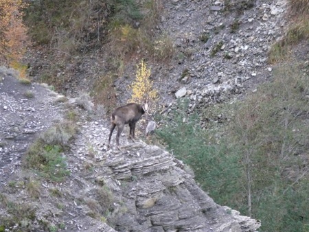 Gorges de Saint Pierre - 035