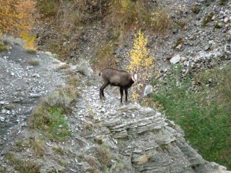 Gorges de Saint Pierre - 036