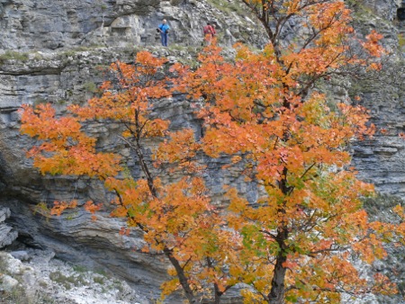 Gorges de Saint Pierre - 058
