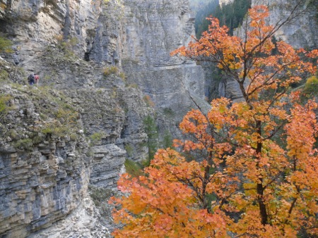Gorges de Saint Pierre - 059