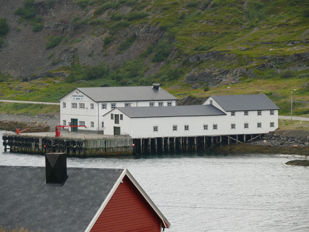 Kongsfjord - Balades, pêche, bivouac et soleil de minuit - 15