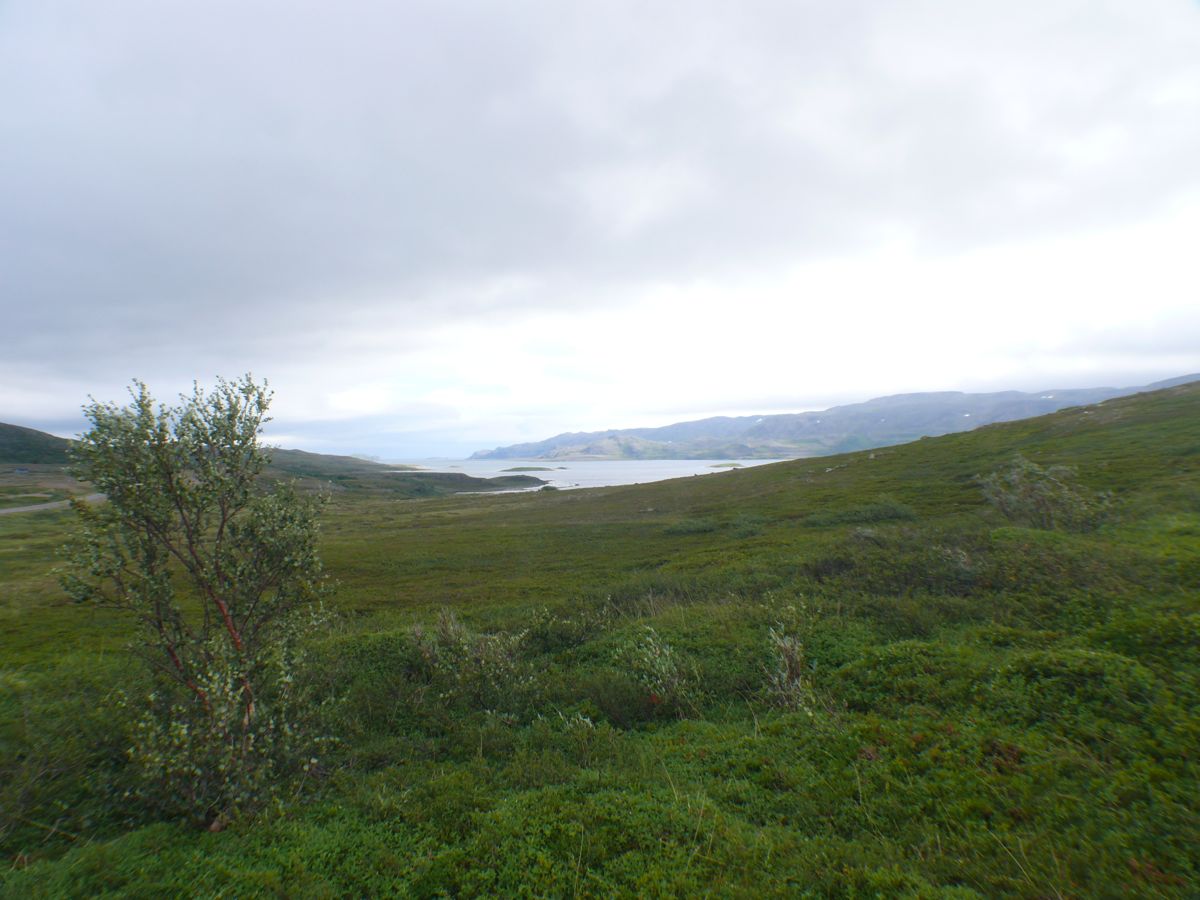 entre Lebesby et Kongsfjord - 2