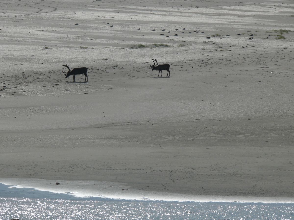 Retour par la route de l'arctique - 4