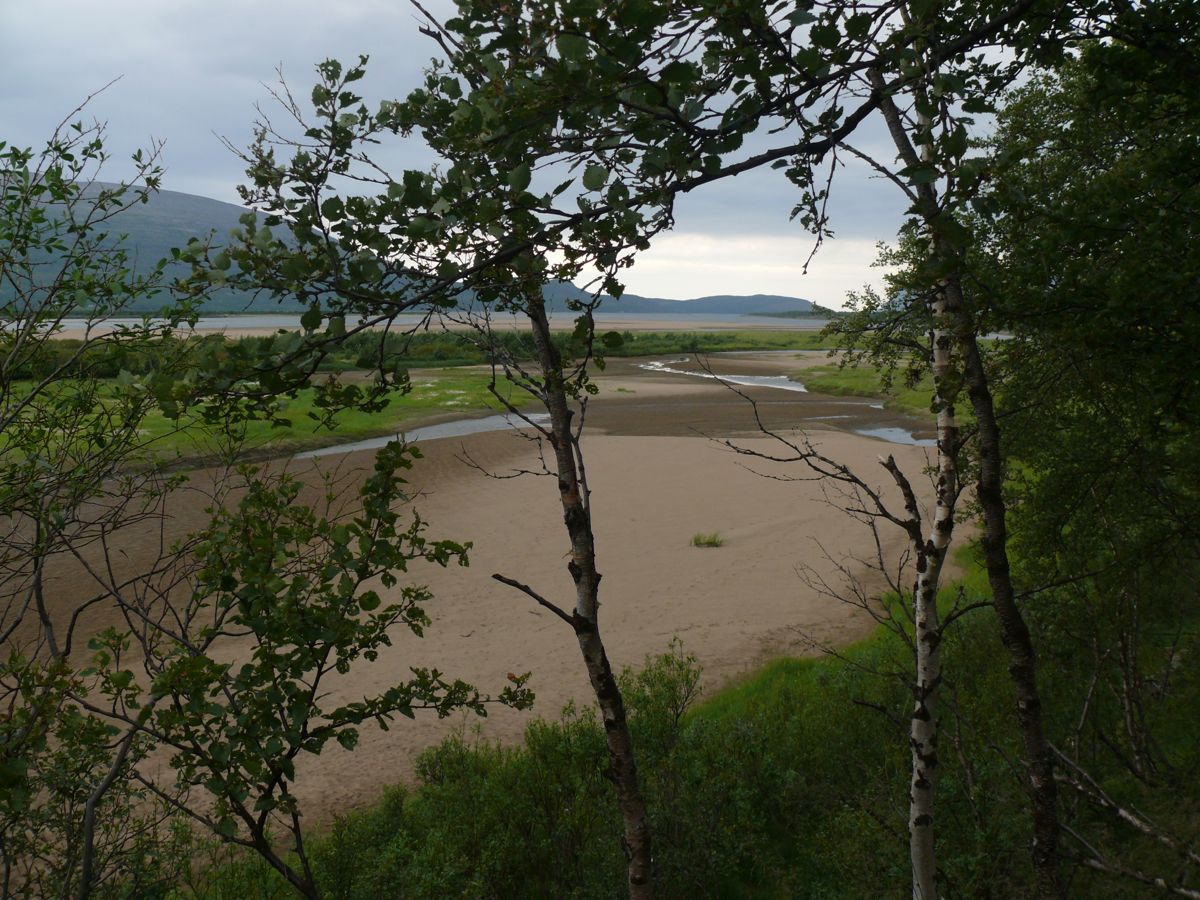 entre Hamn-Syltefjord et Tana bru le long de la Tanaelva - 2