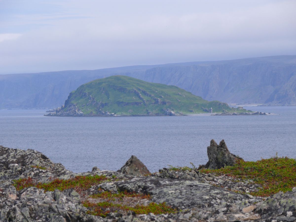 Kongsfjord - Balades, pêche, bivouac et soleil de minuit - 22