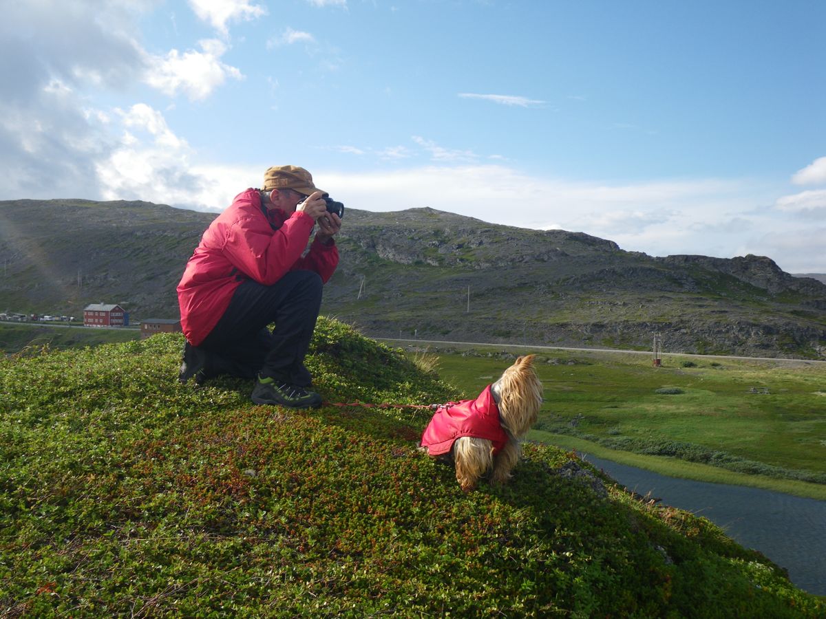 Kongsfjord - Balades, pêche, bivouac et soleil de minuit - 36