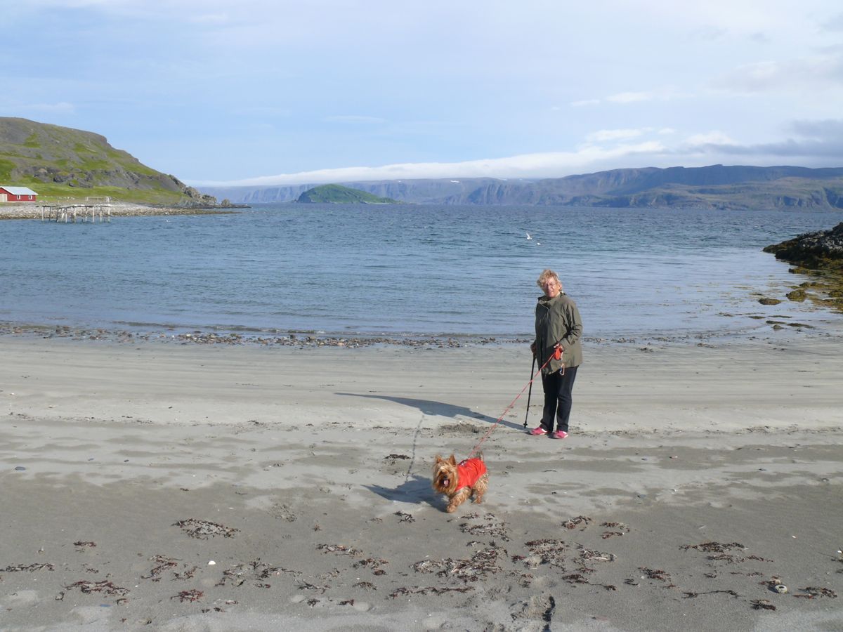 Kongsfjord - Balades, pêche, bivouac et soleil de minuit - 45