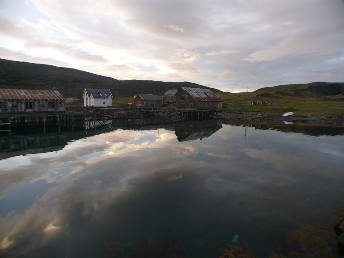 Kongsfjord - Balades, pêche, bivouac et soleil de minuit - 89