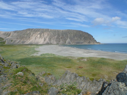 Route de la mer Arctique en direction de Berlevag - 10