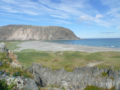 Route de la mer Arctique en direction de Berlevag - 12